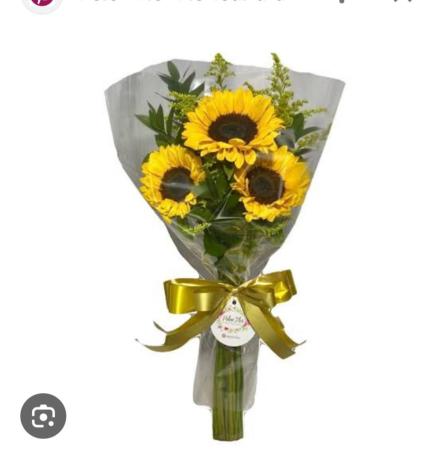 Orquidario Florescer